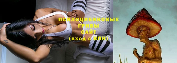 гидропоника Богородск