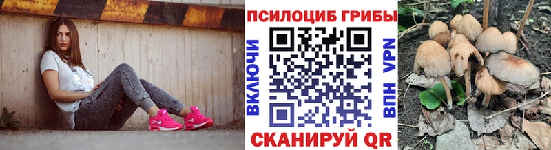 Псилоцибиновые грибы MAGIC MUSHROOMS  Духовщина 